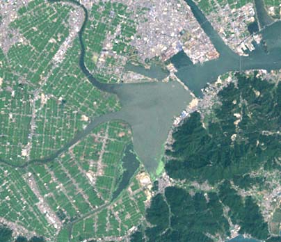 d0061579_1614019.jpg