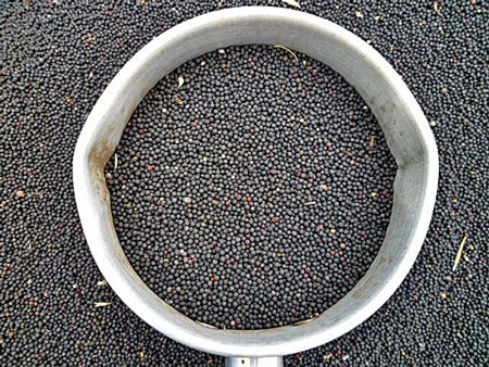c0145581_17381558.jpg