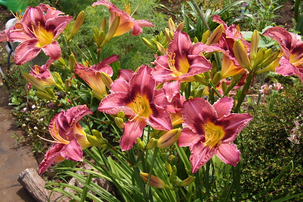 a0198883_14542647.jpg