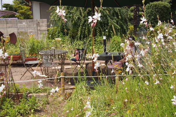 a0198883_14562361.jpg