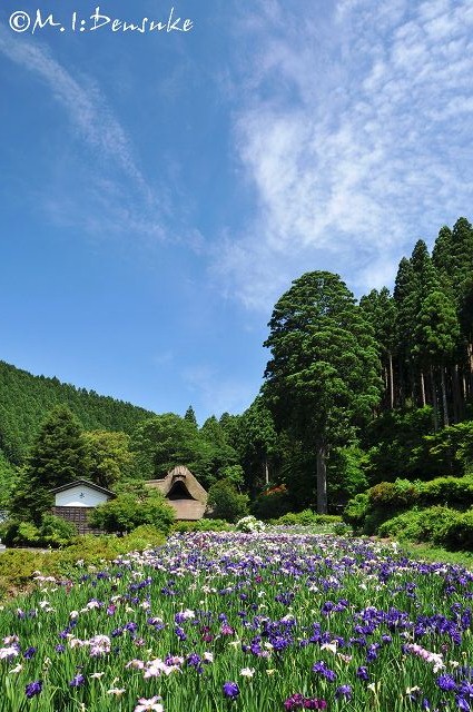 晴れのち雨 四季燦燦 癒し系 かも風景写真 晴れのち雨 四季燦燦 癒し系 かも風景写真