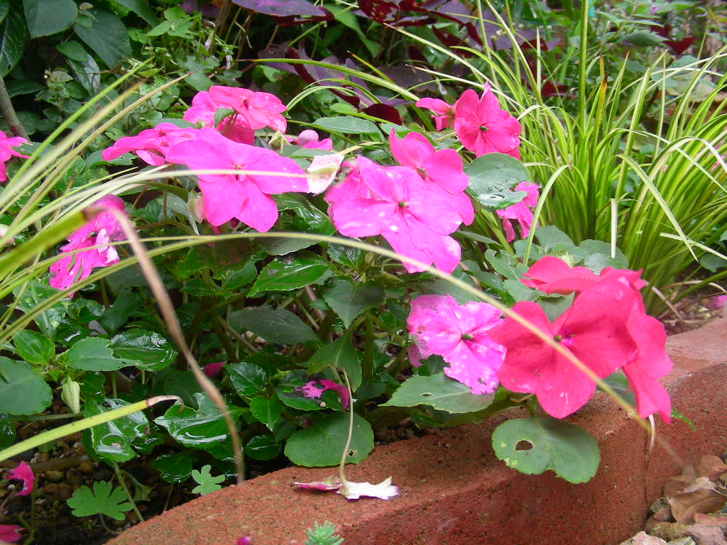 b0096584_1871067.jpg