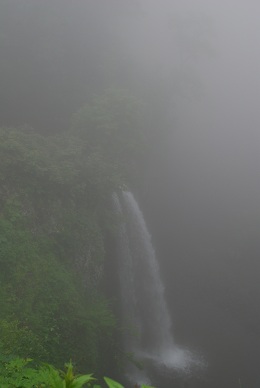 夢の雨竜沼湿原へ・・・シラネアオイに会えるかな？_a0133886_9504054.jpg