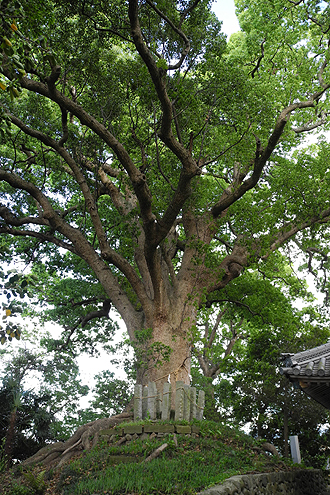 菅原神社@大野原_e0066586_8474259.jpg