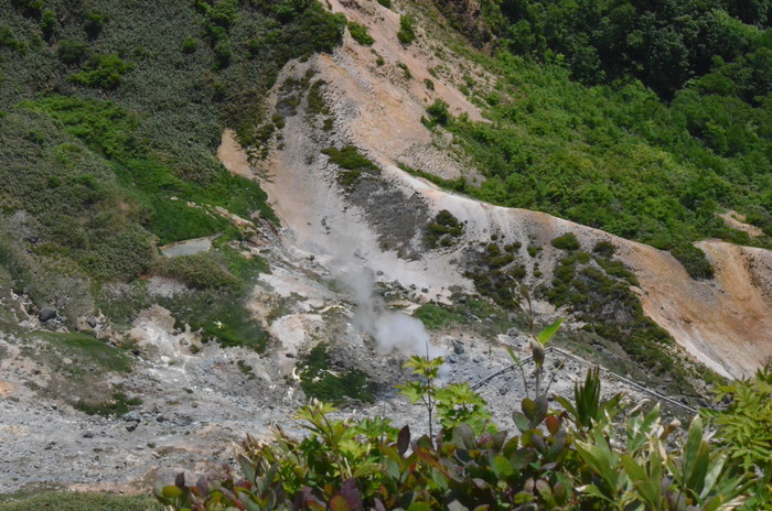 d0077992_12501692.jpg