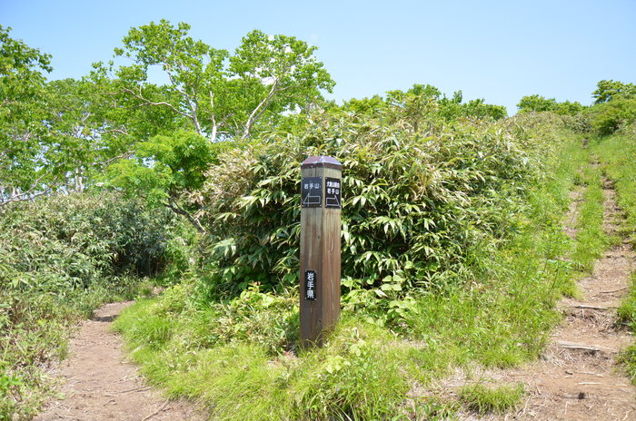 d0077992_12502558.jpg