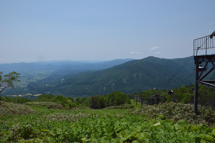 d0077992_1250378.jpg