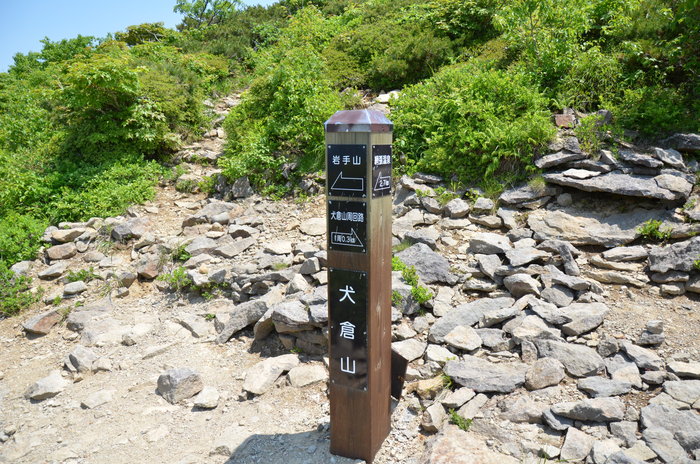 d0077992_12503967.jpg