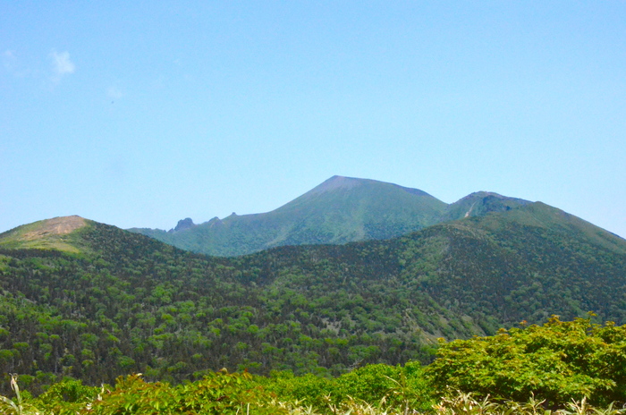 d0077992_12504795.jpg