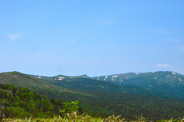 d0077992_132474.jpg