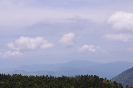 a0158802_2344986.jpg