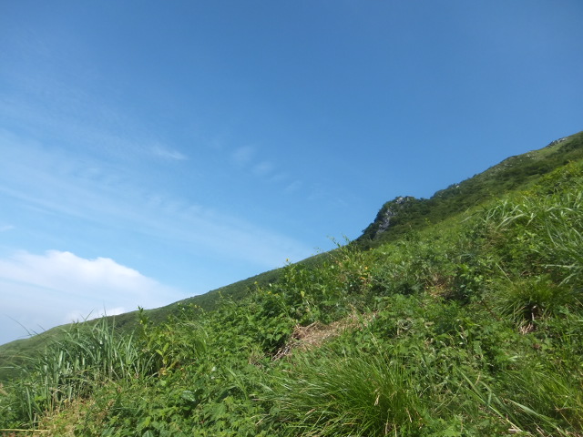 伊吹山（１３７７ｍ）_a0271502_1031558.jpg