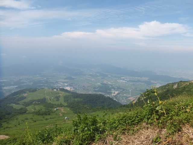 a0271502_1036364.jpg