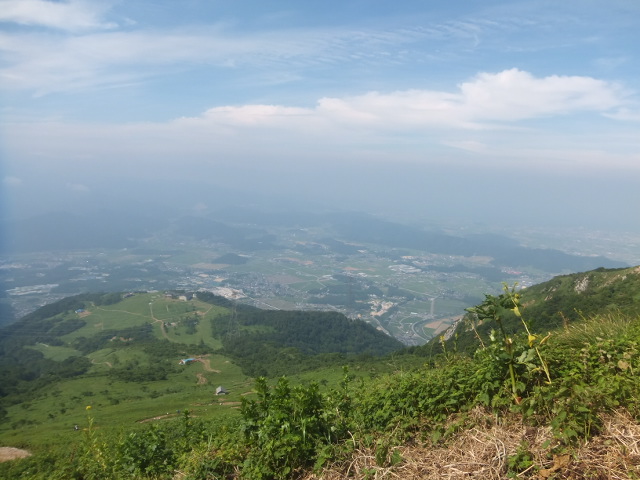 伊吹山（１３７７ｍ）_a0271502_1036364.jpg