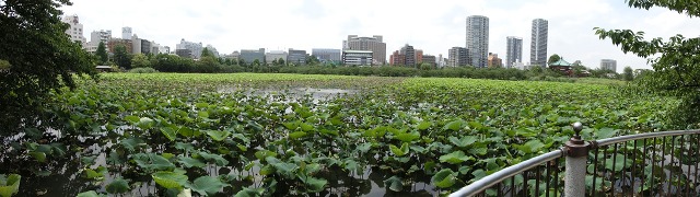 b0190603_425063.jpg