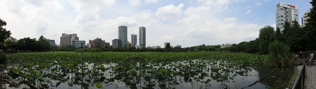 b0190603_425963.jpg