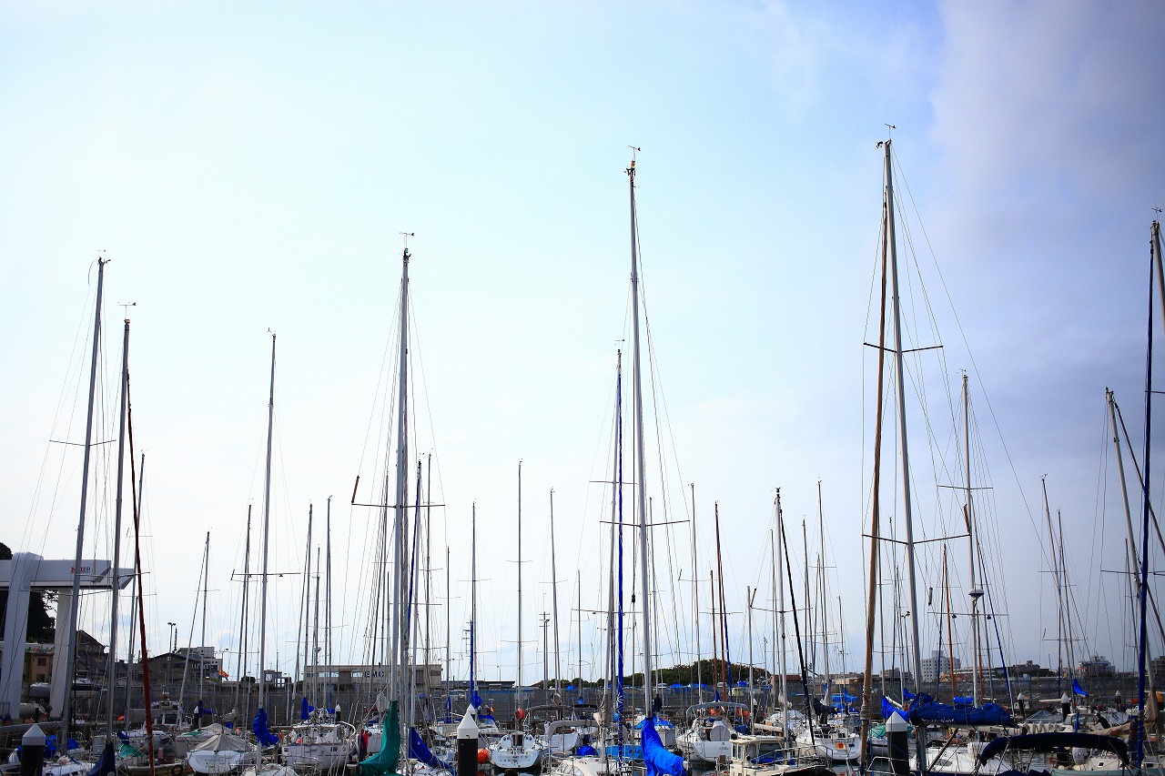 e0262305_0254498.jpg