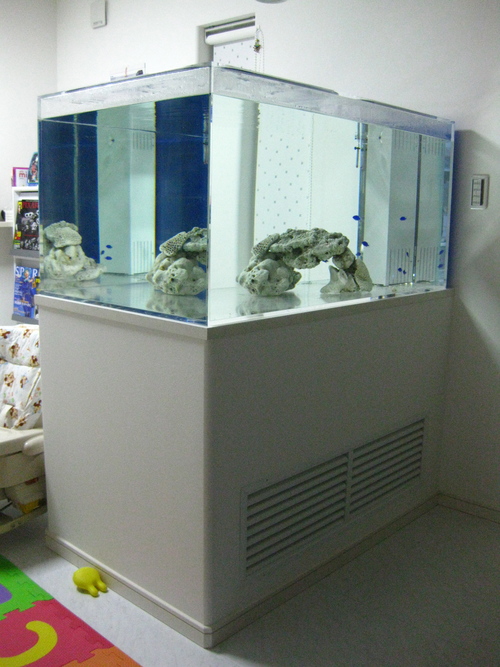 構想11ヶ月!!名古屋在住Kさんの海水魚水槽_b0141806_22264315.jpg