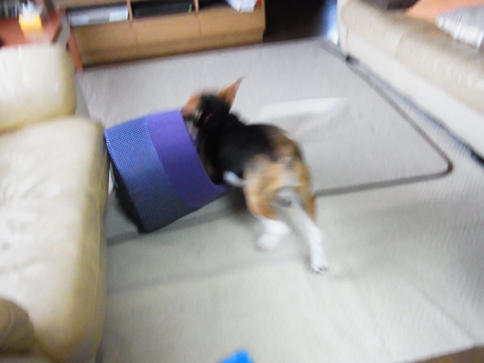 c0205806_23214125.jpg