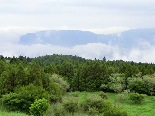 c0016407_8275027.jpg