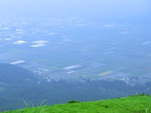 c0016407_8451972.jpg