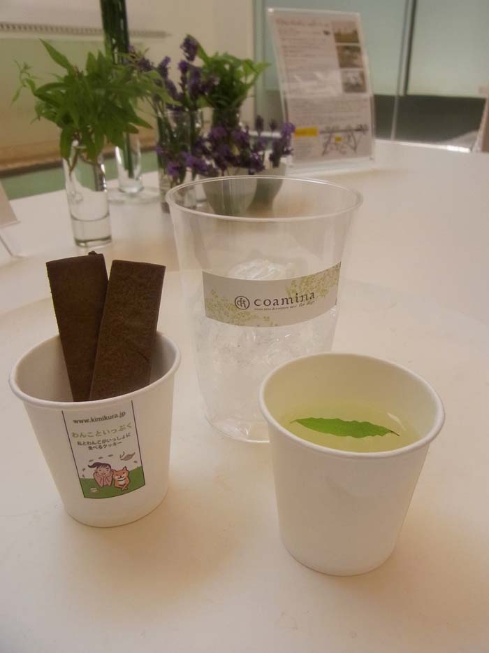 わんこいっぷく カフェイベント出店(記 相原幸雄)_a0195310_1493548.jpg
