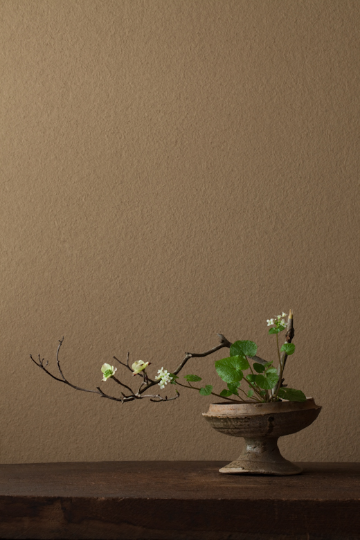 尊敬する花人 Sugao Color 尊敬する花人 Sugao Color