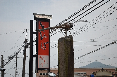 c0115417_0133151.jpg