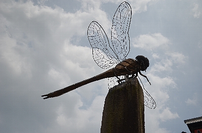 c0115417_0352069.jpg