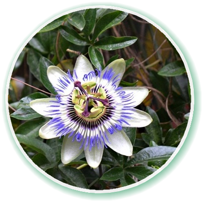 c0223117_155554.png