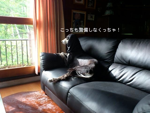 f0039538_21163447.jpg