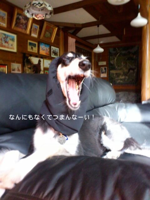 f0039538_21173445.jpg