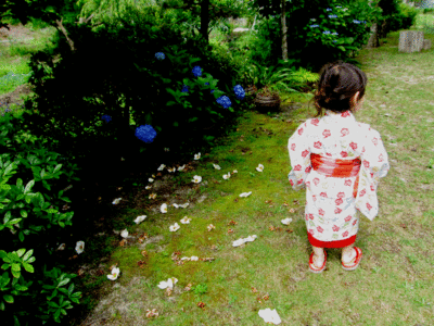 e0040041_1032589.gif