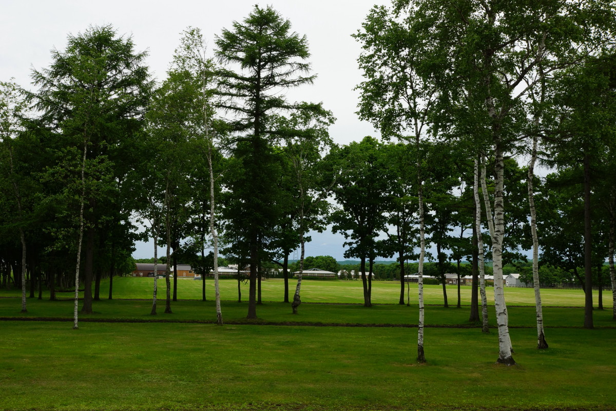 緑の北海道～SONY α77編～_e0132243_19152549.jpg