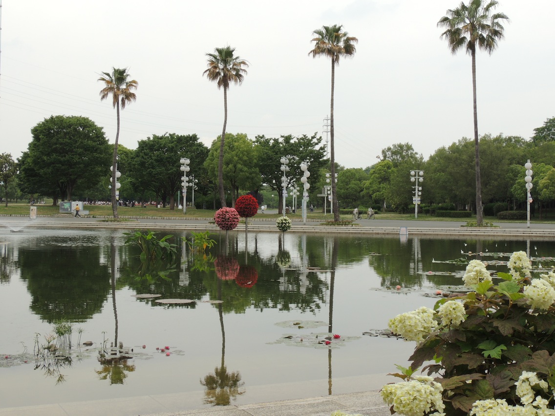 「ほの暗い水の底から」何ちゅうか　かんちゅうか_d0027244_23233155.jpg