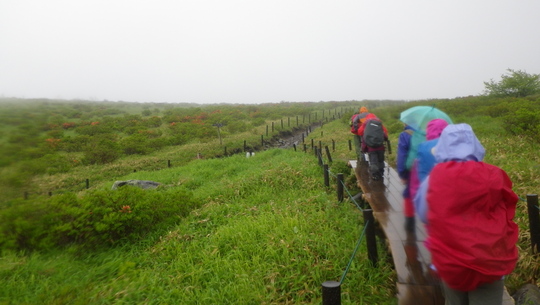 c0042847_22132943.jpg