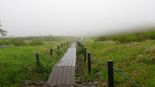 c0042847_22142969.jpg