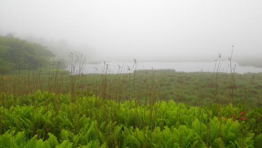 c0042847_2253535.jpg