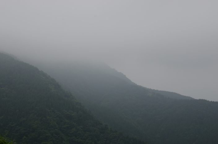 a0263952_22534256.jpg