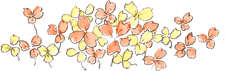 a0269557_1518278.gif