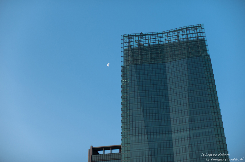 d0080957_21384395.jpg
