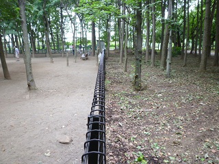 b0203758_10252619.jpg