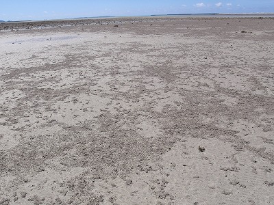 c0180460_0291453.jpg