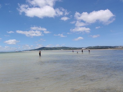 c0180460_041479.jpg