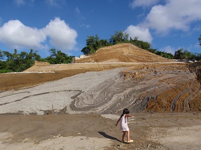 c0180460_11334922.jpg
