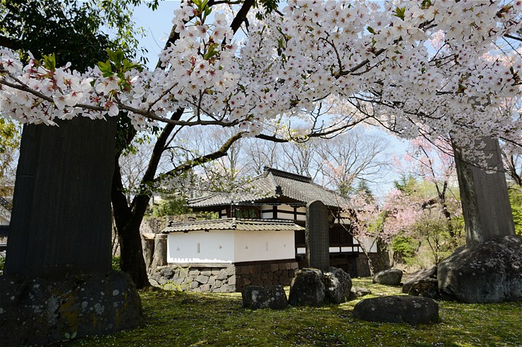 小諸城址懐古園 ~桜~_f0222161_20303792.jpg