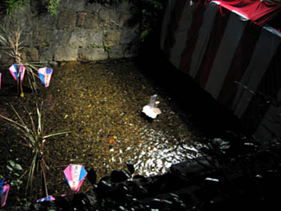 b0153663_18233844.jpg