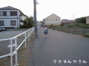 c0224767_1622156.jpg