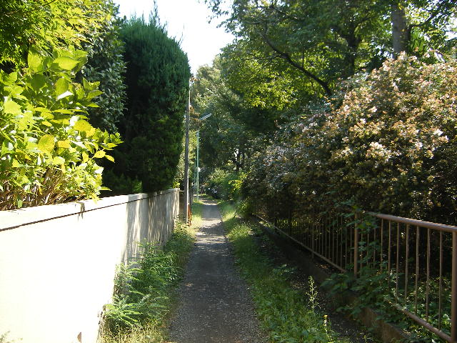 f0230467_23504871.jpg