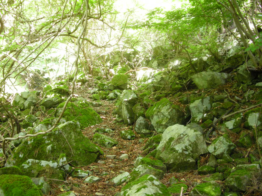 b0185573_8232771.jpg